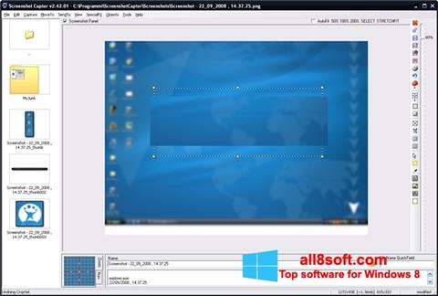 Скріншот ScreenShot для Windows 8