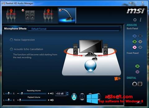 Скріншот Realtek Audio Driver для Windows 8