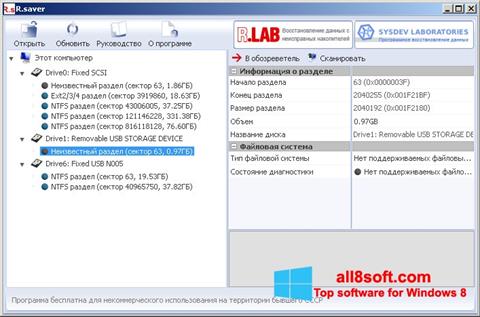 Скріншот R.saver для Windows 8