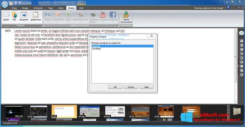 Скріншот Snagit для Windows 8
