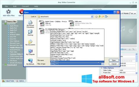 Скріншот Any Video Converter для Windows 8