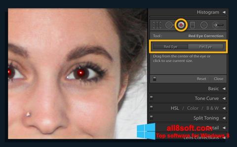 Скріншот Red Eye Remover для Windows 8