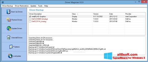 Скріншот Driver Magician для Windows 8