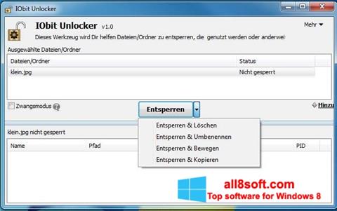 Скріншот IObit Unlocker для Windows 8