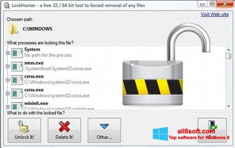 Скріншот LockHunter для Windows 8
