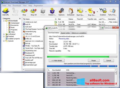 Скріншот Internet Download Manager для Windows 8