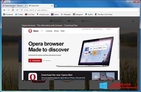 Скріншот Opera Developer для Windows 8