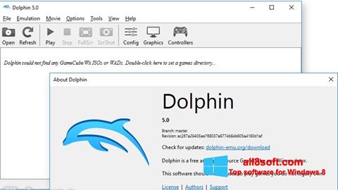 Скріншот Dolphin для Windows 8