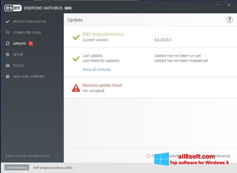 Скріншот ESET Endpoint Antivirus для Windows 8