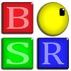 BSR Screen Recorder для Windows 8