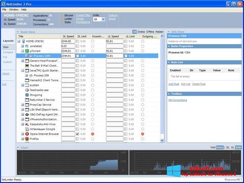 Скріншот NetLimiter для Windows 8