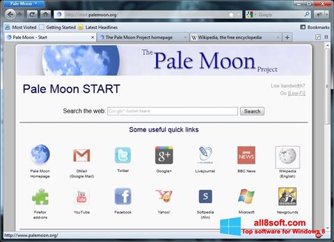 Скріншот Pale Moon для Windows 8