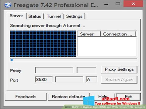 Скріншот Freegate для Windows 8