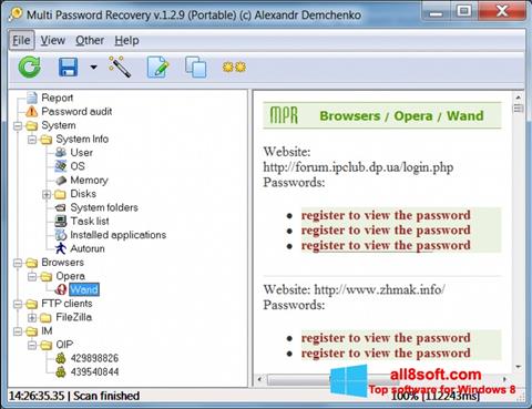 Скріншот Multi Password Recovery для Windows 8