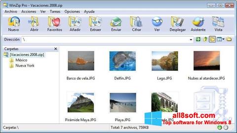 Скріншот WinZip для Windows 8