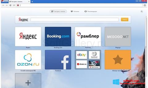 Скріншот Opera Next для Windows 8