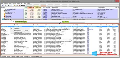 Скріншот Process Explorer для Windows 8