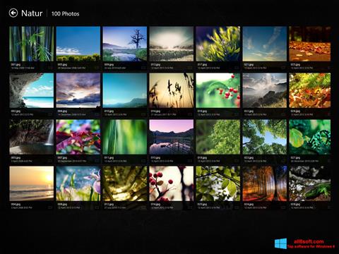 Скріншот Picasa Photo Viewer для Windows 8