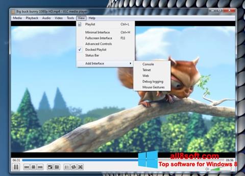 Скріншот VLC Media Player для Windows 8